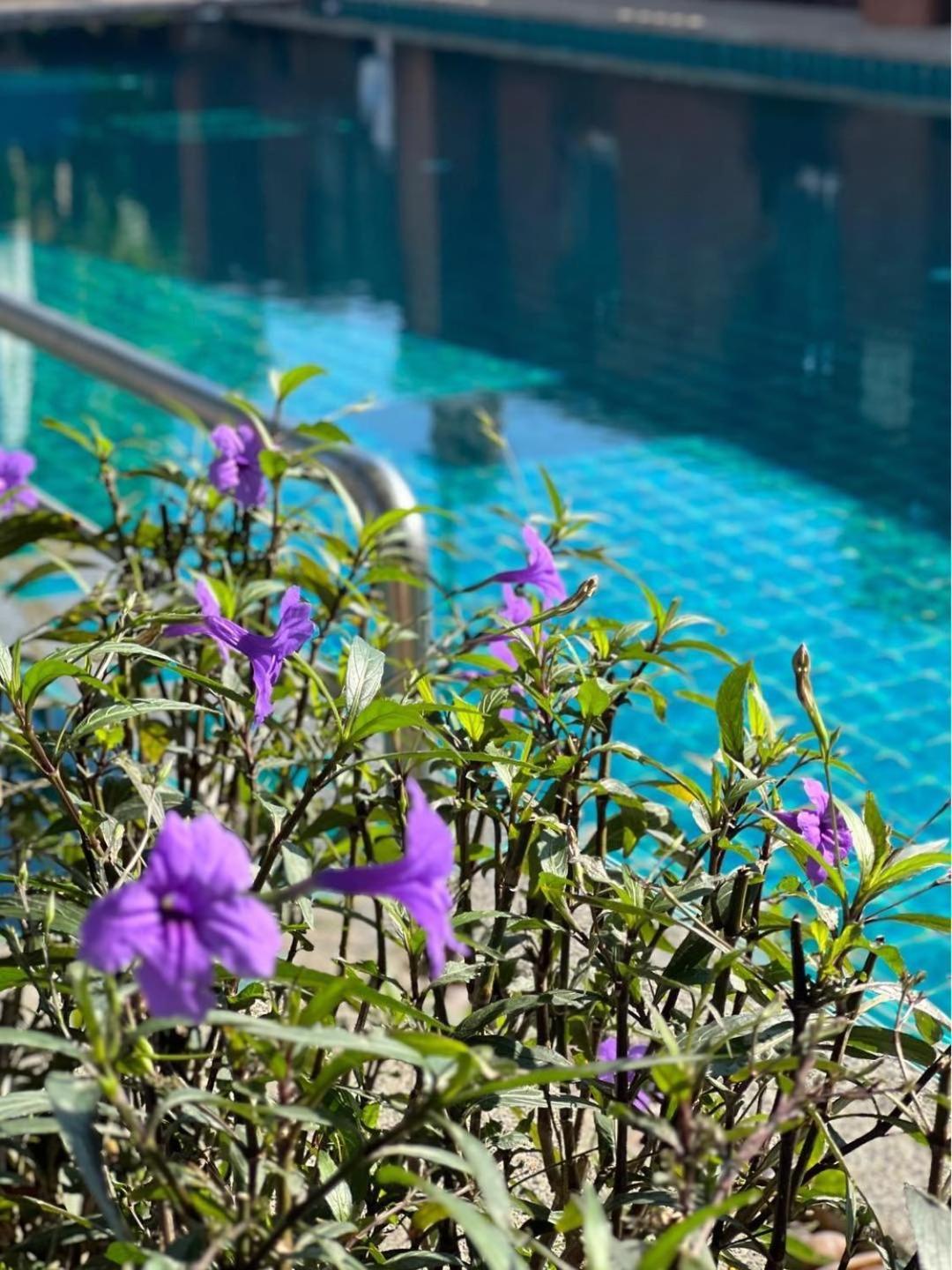 Pattara Mansion พัทยา 호텔 파타야 외부 사진